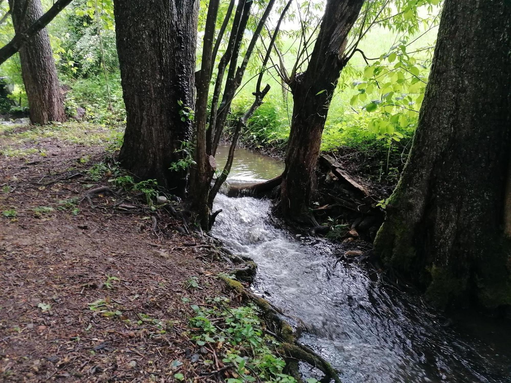 Ferienwohnung "Am Seebach" Wangen im Allgäu Exteriér fotografie